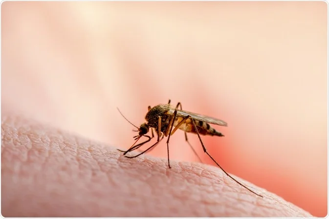 Understanding Malaria: Causes, Symptoms, Prevention, and the Power of Vaccination